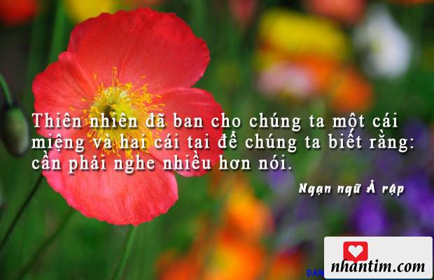 Thiên nhiên đã ban cho chúng ta một cái miệng và hai cái tai để chúng ta biết rằng: cần phải nghe nhiều hơn nói.