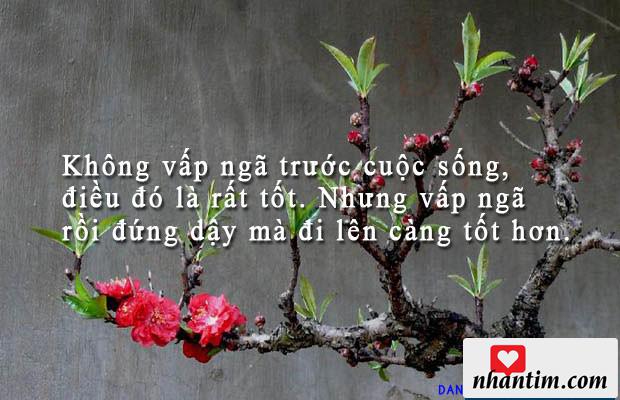 Không vấp ngã trước cuộc sống, điều đó là rất tốt. Nhưng vấp ngã rồi đứng dậy mà đi lên càng tốt hơn.