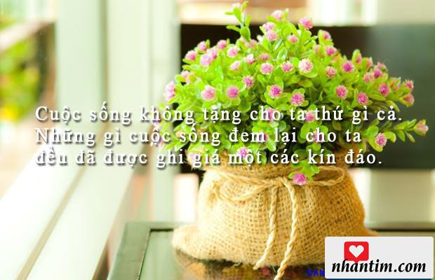 Cuộc sống không tặng cho ta thứ gì cả. Những gì cuộc sống đem lại cho ta đều đã được ghi giá một các kín đáo.