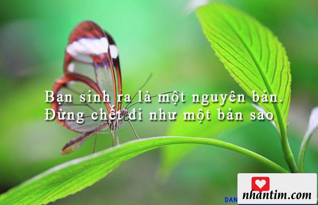 Bạn sinh ra là một nguyên bản. Đừng chết đi như một bản sao.