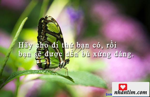 Hãy cho đi thứ bạn có, rồi bạn sẽ được đền bù xứng đáng.