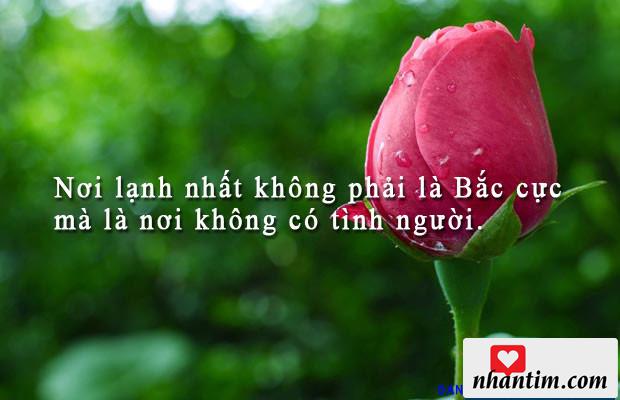 Nơi lạnh nhất không phải là Bắc cực mà là nơi không có tình người.