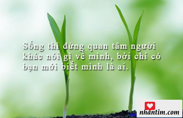 Sống thì đừng quan tâm người khác nói gì về mình, bởi chỉ có bạn mới biết mình là ai.