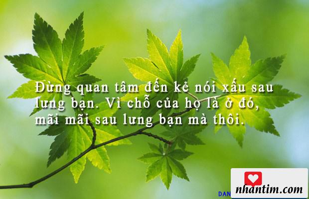 Đừng quan tâm đến kẻ nói xấu sau lưng bạn. Vì chỗ của họ là ở đó, mãi mãi sau lưng bạn mà thôi.