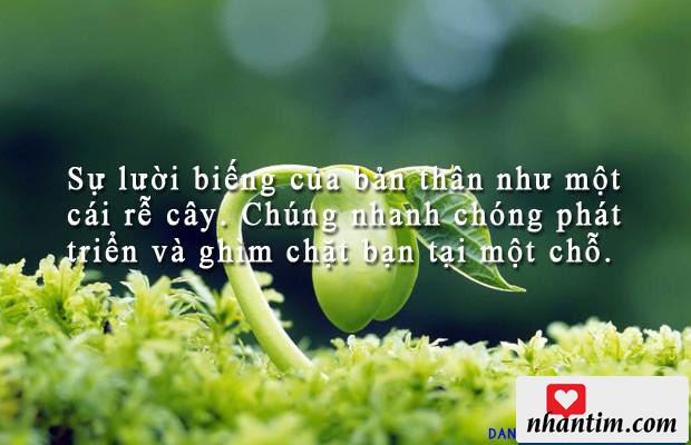 Sự lười biếng của bản thân như một cái rễ cây. Chúng nhanh chóng phát triển và ghìm chặt bạn tại một chỗ.