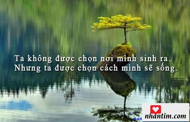 Ta không được chọn nơi mình sinh ra. Nhưng ta được chọn cách mình sẽ sống.