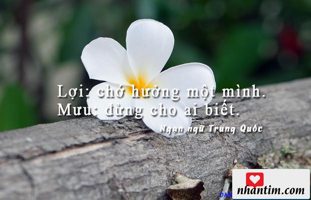 Lợi: chớ hưởng một mình. Mưu: đừng cho ai biết.