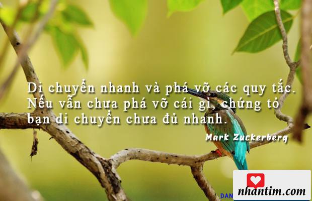 Di chuyển nhanh và phá vỡ các quy tắc. Nếu vẫn chưa phá vỡ cái gì, chứng tỏ bạn di chuyển chưa đủ nhanh.