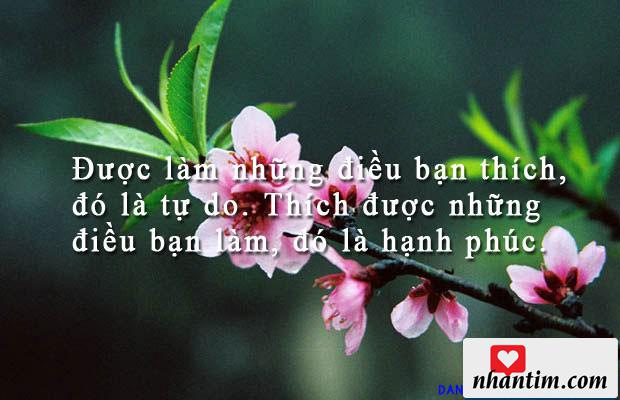 Được làm những điều bạn thích, đó là tự do. Thích được những điều bạn làm, đó là hạnh phúc.