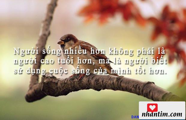 Người sống nhiều hơn không phải là người cao tuổi hơn, mà là người biết sử dụng cuộc sống của mình tốt hơn.