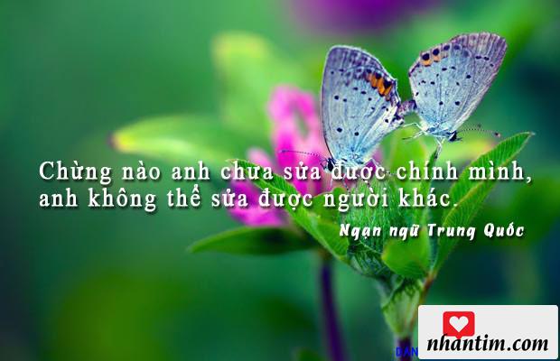 Chừng nào anh chưa sửa được chính mình, anh không thể sửa được người khác.