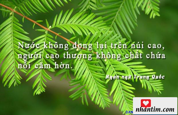 Nước không đọng lại trên núi cao, người cao thượng không chất chứa nỗi căm hờn.