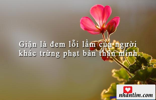 Giận là đem lỗi lầm của người khác trừng phạt bản thân mình.