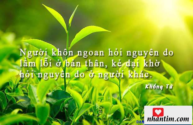 Người khôn ngoan hỏi nguyên do lầm lỗi ở bản thân, kẻ dại khờ hỏi nguyên do ở người khác