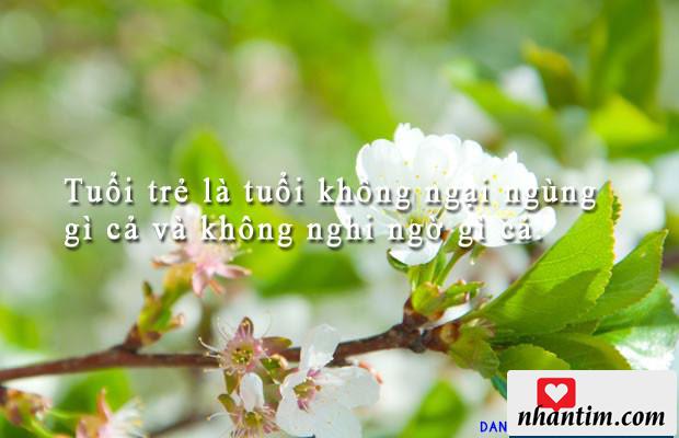 Tuổi trẻ là tuổi không ngại ngùng gì cả và không nghi ngờ gì cả.