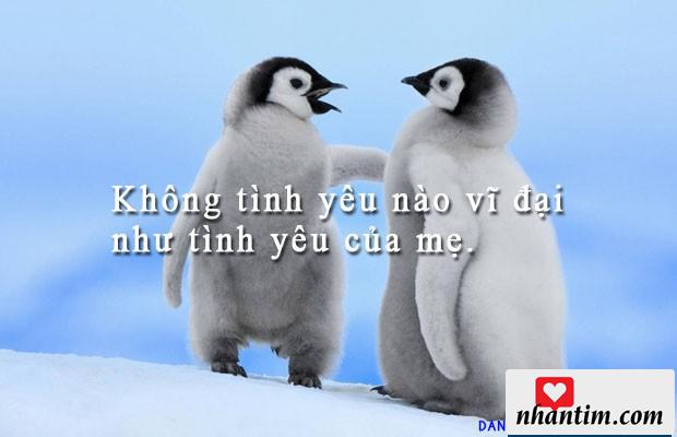 Không tình yêu nào vĩ đại như tình yêu của mẹ