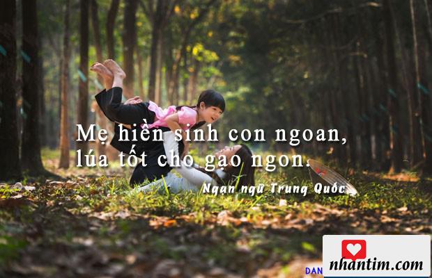 Mẹ hiền sinh con ngoan, lúa tốt cho gạo ngon