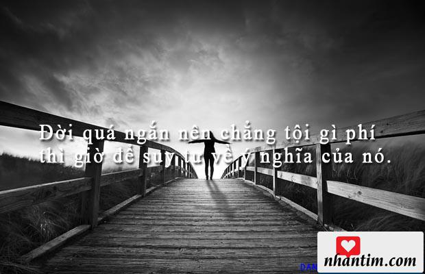 Đời quá ngắn nên chẳng tội gì phí thì giờ để suy tư về ý nghĩa của nó.