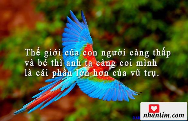 Thế giới của con người càng thấp và bé thì anh ta càng coi mình là cái phần lớn hơn của vũ trụ.