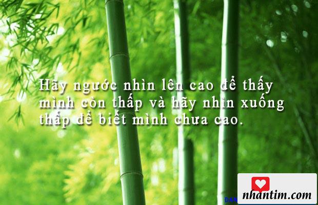 Hãy ngước nhìn lên cao để thấy mình còn thấp và hãy nhìn xuống thấp để biết mình chưa cao.