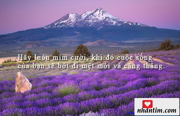 Hãy luôn mỉm cười, khi đó cuộc sống của bạn sẽ bớt đi mệt mỏi và căng thẳng.