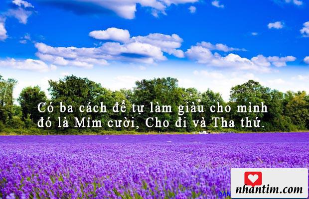 Có ba cách để tự làm giàu cho mình đó là Mỉm cười, Cho đi và Tha thứ.