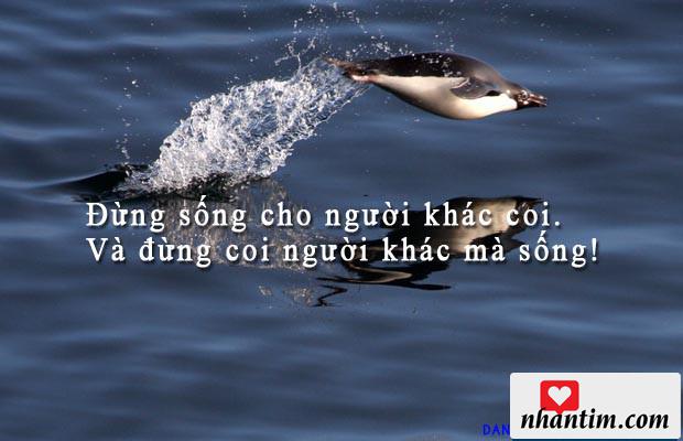 Đừng sống cho người khác coi. Và đừng coi người khác mà sống!