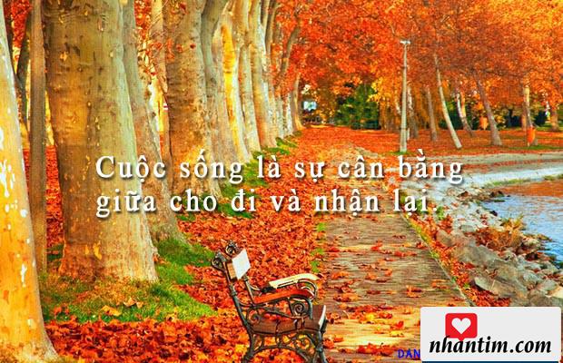 Cuộc sống là sự cân bằng giữa cho đi và nhận lại.