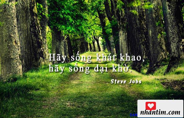 Hãy sống khát khao, hãy sống dại khờ.