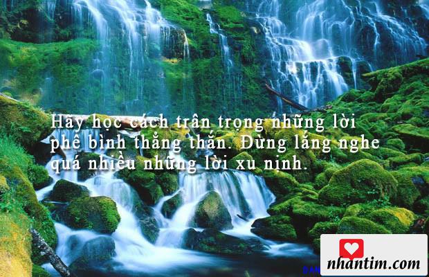 Hãy học cách trân trọng những lời phê bình thẳng thắn. Đừng lắng nghe quá nhiều những lời xu nịnh.