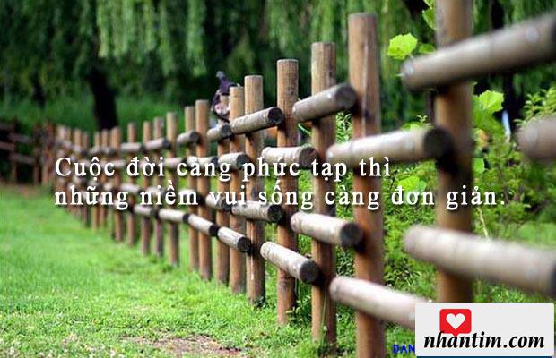 Cuộc đời càng phức tạp thì những niềm vui sống càng đơn giản.