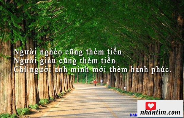 Người nghèo cũng thèm tiền. Người giàu cũng thèm tiền. Chỉ người anh minh mới thèm hạnh phúc.