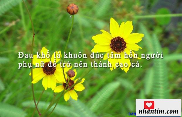 Đau khổ là khuôn đúc tâm hồn người phụ nữ để trở nên thành cao cả