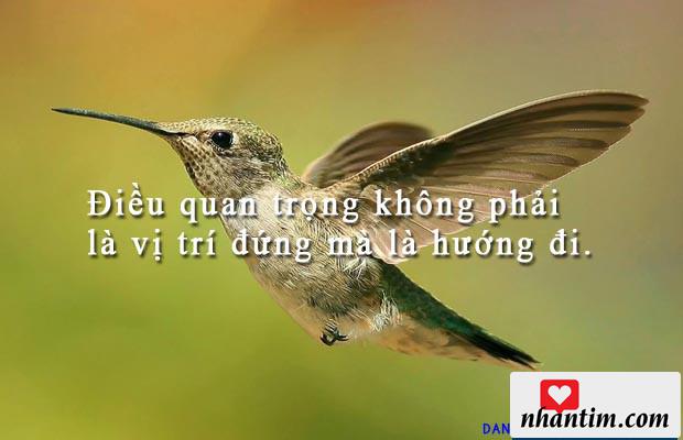 Điều quan trọng không phải là vị trí đứng mà là hướng đi.