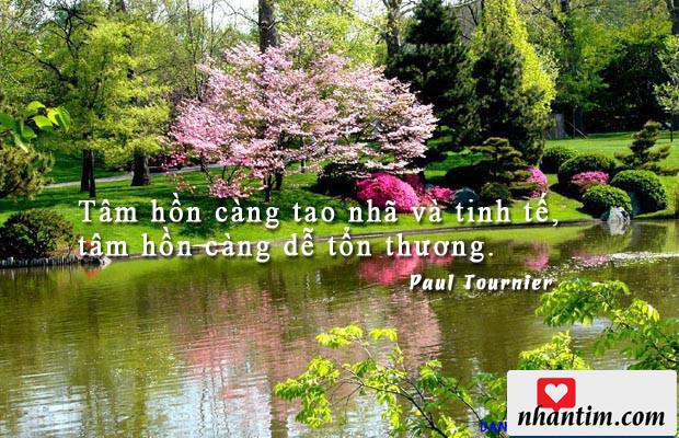 Tâm hồn càng tao nhã và tinh tế, tâm hồn càng dễ tổn thương