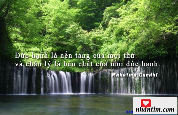 Đức hạnh là nền tảng của mọi thứ và chân lý là bản chất của mọi đức hạnh