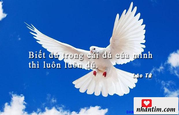 Biết đủ trong cái đủ của mình thì luôn luôn đủ.