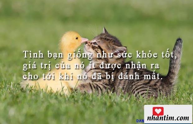 Tình bạn giống như sức khỏe tốt, giá trị của nó ít được nhận ra cho tới khi nó đã bị đánh mất.