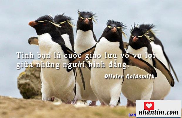 Tình bạn là cuộc giao lưu vô vụ lợi giữa những người bình đẳng.