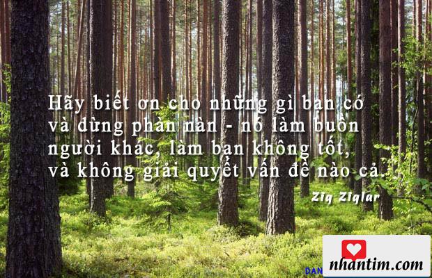 Hãy biết ơn cho những gì bạn có và dừng phàn nàn – nó làm buồn người khác, làm bạn không tốt, và không giải quyết vấn đề nào cả.