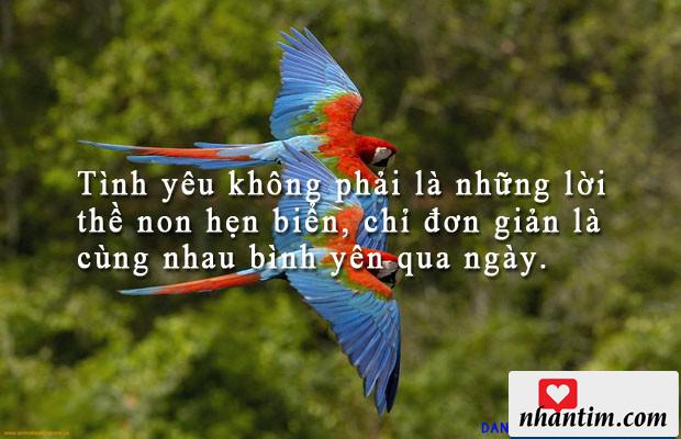 Tình yêu không phải là những lời thề non hẹn biển, chỉ đơn giản là cùng nhau bình yên qua ngày.