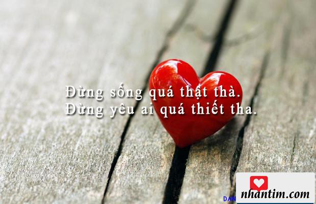 Đừng sống quá thật thà. Đừng yêu ai quá thiết tha.