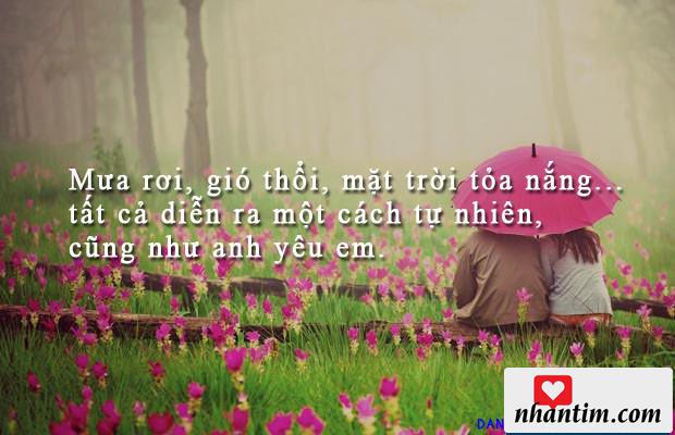 Mưa rơi, gió thổi, mặt trời tỏa nắng… tất cả diễn ra một cách tự nhiên, cũng như anh yêu em.