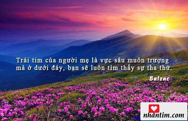 Trái tim của người mẹ là vực sâu muôn trượng mà ở dưới đáy, bạn sẽ luôn tìm thấy sự tha thứ