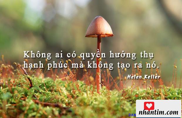 Không ai có quyền hưởng thụ hạnh phúc mà không tạo ra nó.