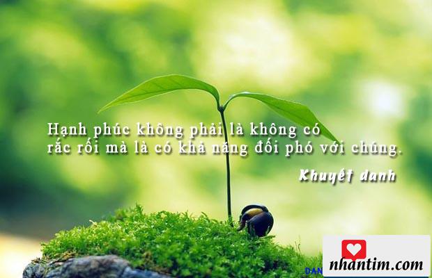 Hạnh phúc không phải là không có rắc rối mà là có khả năng đối phó với chúng.