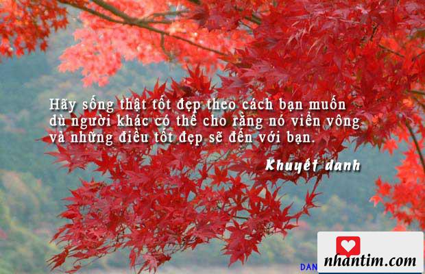 Hãy sống thật tốt đẹp theo cách bạn muốn, dù người khác có thể cho rằng nó viển vông và những điều tốt đẹp sẽ đến với bạn