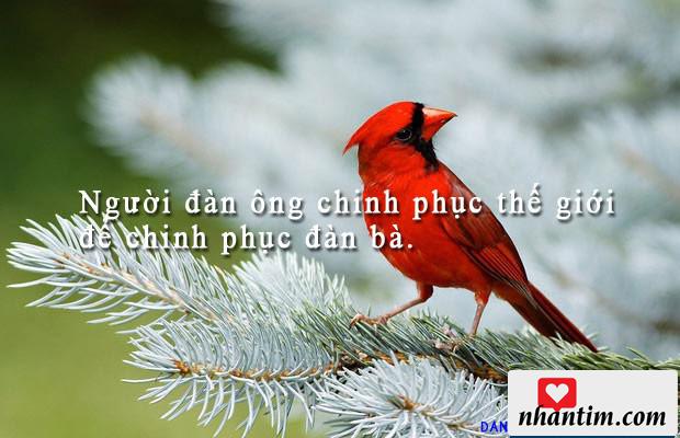 Người đàn ông chinh phục thế giới để chinh phục đàn bà