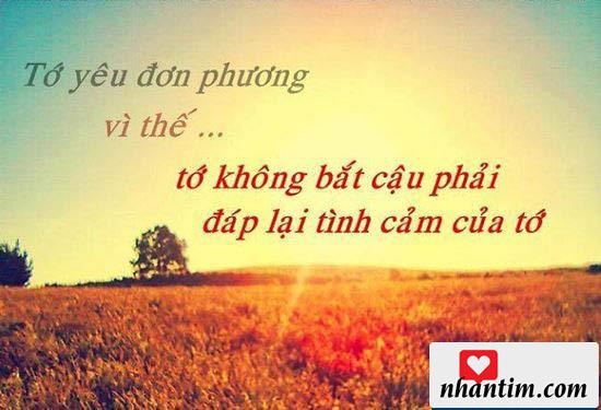 Những câu nói hay về tình yêu đơn phương