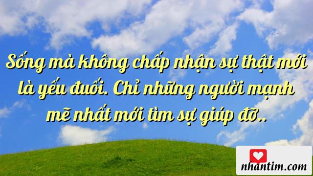 Sống mà không chấp nhận sự thật mới là yếu đuối. Chỉ những người mạnh mẽ nhất mới tìm sự giúp đỡ..